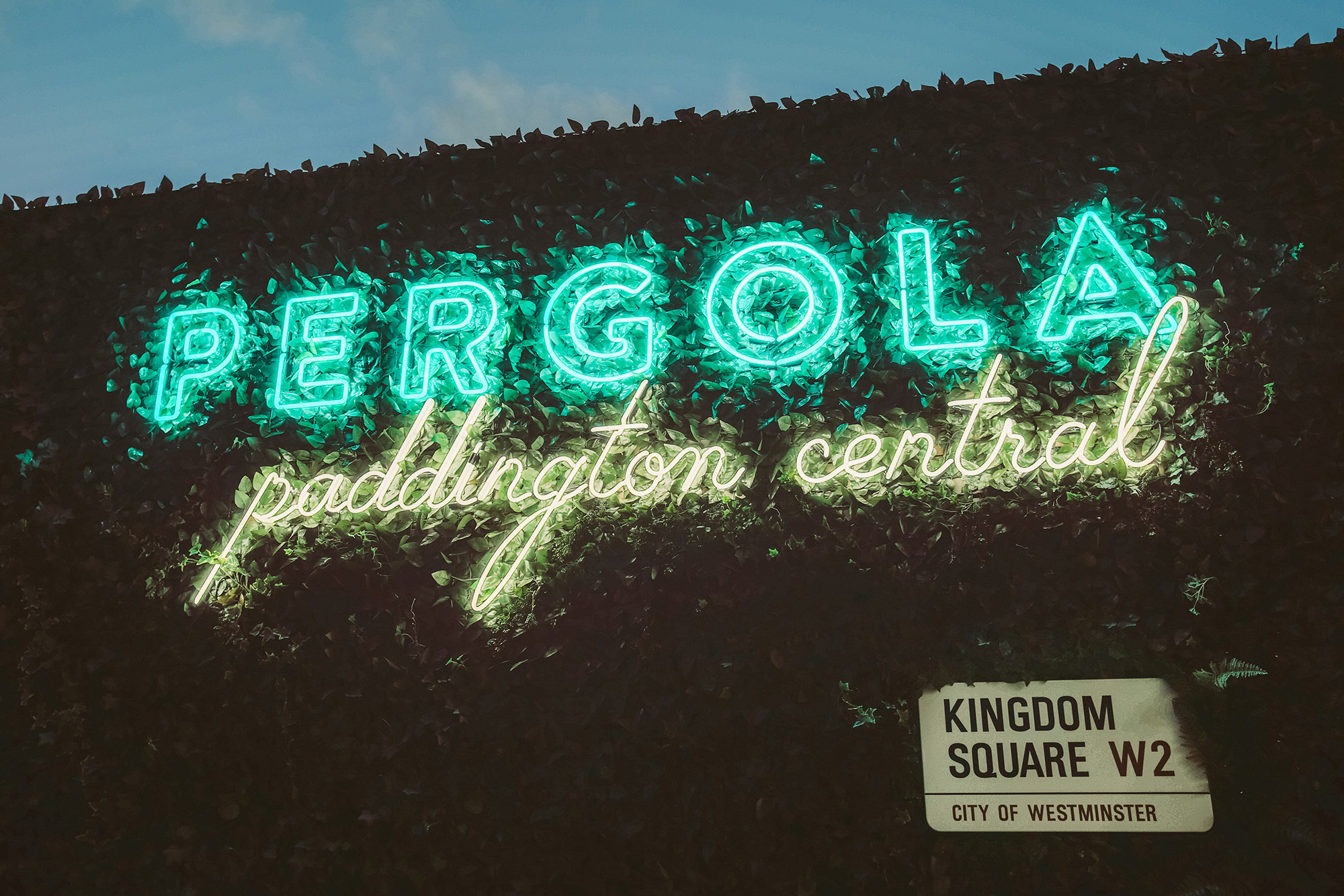 Pergola Paddington 4.jpg
