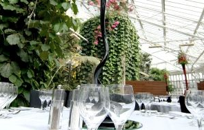 Tropical Oasis in the Heart of London