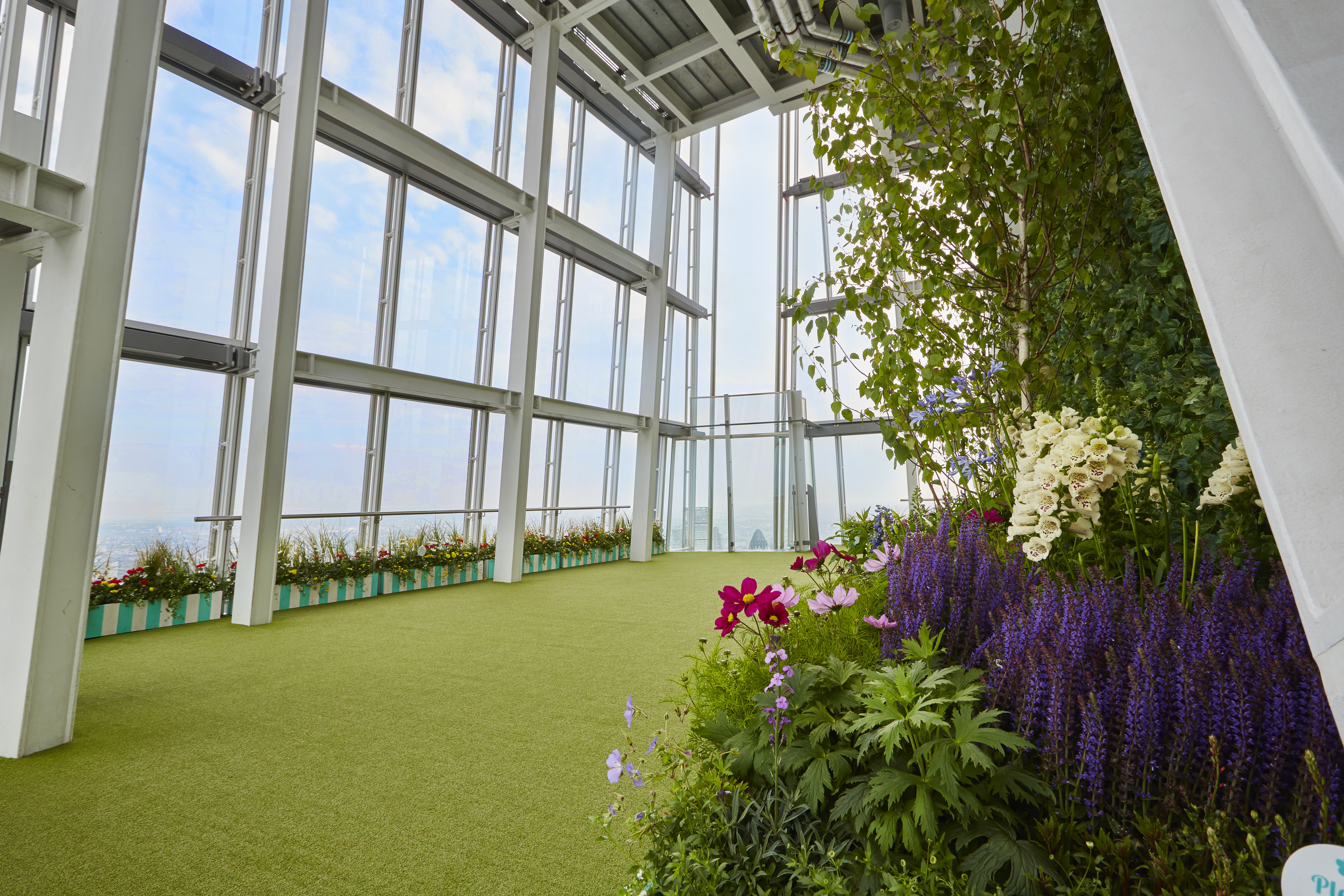 Garden in the Sky