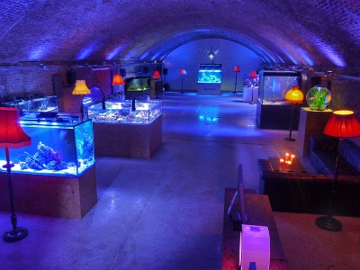 Dalston Fish Tank have had a Makeover!