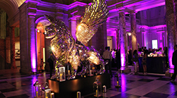 Exceptional Asian Weddings and Events