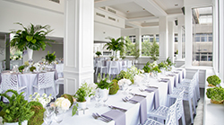Win Your London Wedding Venue For Free!